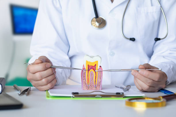 Best Emergency Dental Care for Broken or Chipped Teeth in Gordonsville, VA